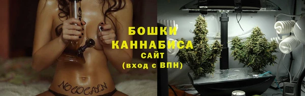 крисы Касимов