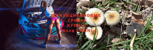 крисы Касимов