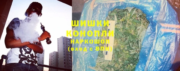 крисы Касимов