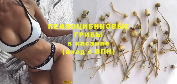 крисы Карталы