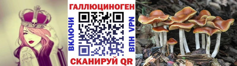 Купить закладки  Киселёвск  Галлюциногенные грибы мицелий 